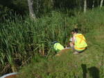 Multiple Culvert Crossing, North Branch Little River at Osippee Trail, Standish, Maine