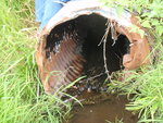 Multiple Culvert Crossing, Oak Brook at East Sangerville Rd, Sangerville, Maine