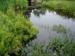 Multiple Culvert Crossing, Old Mill Brook at Crooked Rd, Bar Harbor, Maine