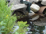 Multiple Culvert Crossing, Old Mill Brook at Crooked Rd, Bar Harbor, Maine