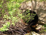 Multiple Culvert Crossing, Oliver Brook at Boynton Road, Bradley, Maine