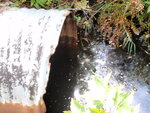 Multiple Culvert Crossing, Orson Brook at Railroad, Brownville, Maine