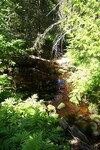 Multiple Culvert Crossing, Osgood Brook at Unknown, Bangor, Maine