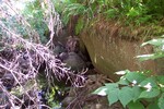 Multiple Culvert Crossing, Osgood Brook at Unknown, Bangor, Maine