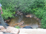 Multiple Culvert Crossing, Otter Creek at Grover Ave, Mount Desert, Maine
