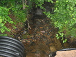 Multiple Culvert Crossing, Otter Creek at Grover Ave, Mount Desert, Maine