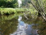 Multiple Culvert Crossing, Oyster River at West St, Rockport, Maine