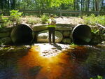 Multiple Culvert Crossing, Paine Brook at Old Country Rd, Brownfield, Maine