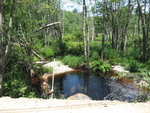 Multiple Culvert Crossing, Parker Head Creek at Sam Day Hill, Phippsburg, Maine