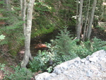 Multiple Culvert Crossing, Parker Head Creek at Sam Day Hill, Phippsburg, Maine