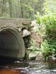Multiple Culvert Crossing, Patte Brook at Patte Brook Rd., Albany Twp, Maine