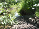 Multiple Culvert Crossing, Pelton Brook at Hollin Waite Road, Anson, Maine