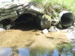 Multiple Culvert Crossing, Pelton Brook at Hollin Waite Road, Anson, Maine