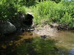 Multiple Culvert Crossing, Pelton Brook at Hollin Waite Road, Anson, Maine