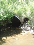 Multiple Culvert Crossing, Pelton Brook at Hollin Waite Road, Anson, Maine