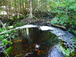 Multiple Culvert Crossing, Pendexter Brook at Moulton Rd, Parsonsfield, Maine