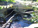 Multiple Culvert Crossing, Pendexter Brook at Moulton Rd, Parsonsfield, Maine