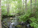 Multiple Culvert Crossing, Piper Stream at Route 52, Belfast, Maine