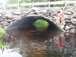 Multiple Culvert Crossing, Pleasant River at Hunts Hill Rd, Gray, Maine