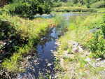 Multiple Culvert Crossing, Pond Cove Brook at Shore Rd, Cape Elizabeth, Maine