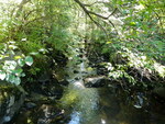 Multiple Culvert Crossing, Pooler Brook at Thurston Hill Rd, Madison, Maine