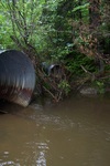 Multiple Culvert Crossing, Potter Brook at Potter Rd, Lisbon, Maine