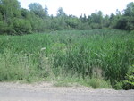 Multiple Culvert Crossing, Pratt Stream at Harding Rd, Albion, Maine