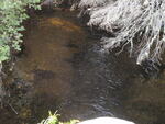 Multiple Culvert Crossing, Prescott Brook at Averill Rd, Prentiss Twp T7 R3 NBPP, Maine