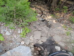 Multiple Culvert Crossing, Prescott Brook at Averill Rd, Prentiss Twp T7 R3 NBPP, Maine