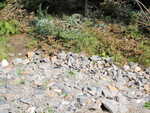Multiple Culvert Crossing, Prescott Brook at Averill Rd, Prentiss Twp T7 R3 NBPP, Maine
