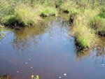 Multiple Culvert Crossing, Prescott Brook at Elliotsville Rd, Willimantic, Maine