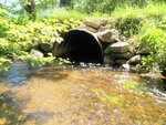 Multiple Culvert Crossing, Quiggle Brook at Miller Rd, Union, Maine