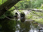 Multiple Culvert Crossing, Ramsay Brook at Bog Rd, Northport, Maine