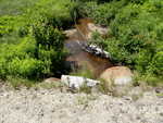 Multiple Culvert Crossing, Reed Brook at Shed Rd, Norway, Maine
