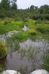Multiple Culvert Crossing, Reeds Brook at Mayo Road, Hampden, Maine