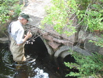 Multiple Culvert Crossing, Richardson Brook at Carriage Rd, Bar Harbor, Maine