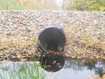 Multiple Culvert Crossing, Robinson Brook at Edwards Rd, Casco, Maine