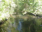 Multiple Culvert Crossing, Rolfe Brook at Route 121, Casco, Maine