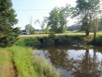 Multiple Culvert Crossing, Runaround Brook at Fickett Rd, New Gloucester, Maine