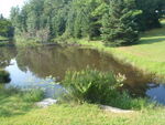 Multiple Culvert Crossing, Runaround Brook at Fickett Rd, New Gloucester, Maine