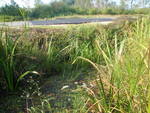 Multiple Culvert Crossing, Runaround Brook at Fickett Rd, Pownal, Maine