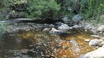 Multiple Culvert Crossing, Sandy Brook at Route 1, Danforth, Maine