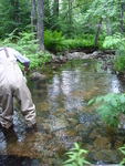Multiple Culvert Crossing, Sargent Brook at Route 198, Mount Desert, Maine