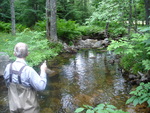 Multiple Culvert Crossing, Sargent Brook at Route 198, Mount Desert, Maine