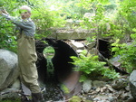 Multiple Culvert Crossing, Sargent Brook at Route 198, Mount Desert, Maine