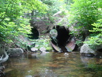 Multiple Culvert Crossing, Sargent Brook at Route 198, Mount Desert, Maine