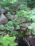 Multiple Culvert Crossing, Sargent Brook at Route 198, Mount Desert, Maine