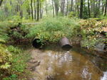 Multiple Culvert Crossing, Sawyer Brook at King Hill Rd, Bridgton, Maine