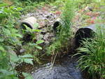 Multiple Culvert Crossing, Scitterygusset Creek at Bucknam Rd, Falmouth, Maine