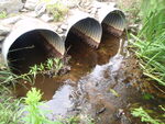 Multiple Culvert Crossing, Scitterygusset Creek at Middle Rd, Falmouth, Maine
